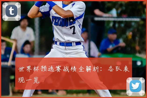 世界杯预选赛战绩全解析：各队表现一览