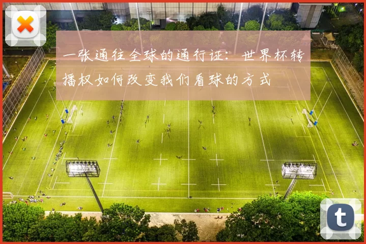 一张通往全球的通行证:世界杯转播权如何改变我们看球的方式