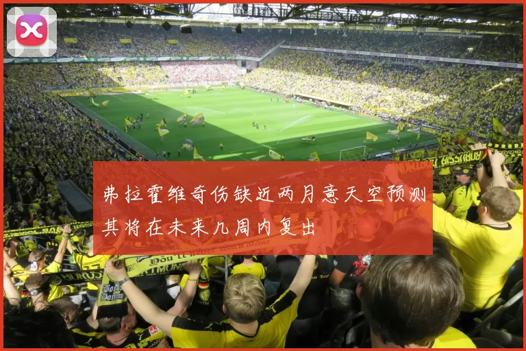 弗拉霍维奇伤缺近两月意天空预测其将在未来几周内复出