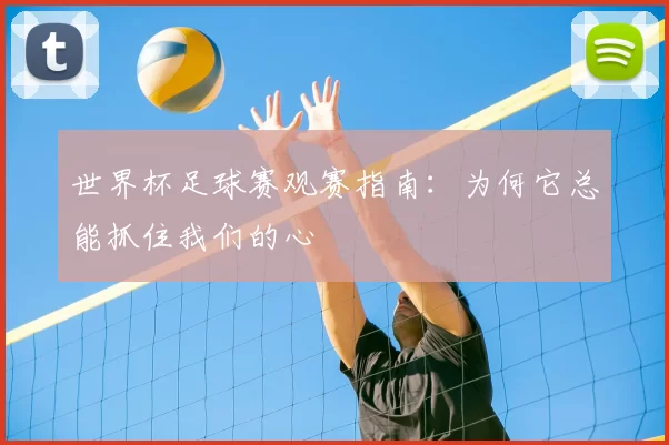 世界杯足球赛观赛指南：为何它总能抓住我们的心