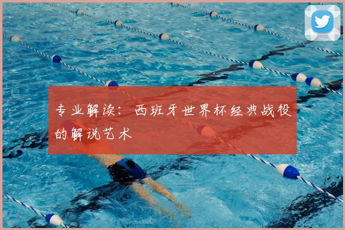 专业解读：西班牙世界杯经典战役的解说艺术