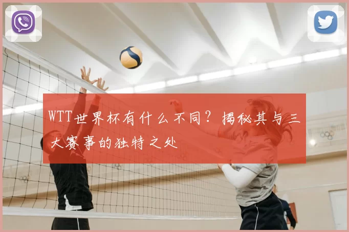 WTT世界杯有什么不同?揭秘其与三大赛事的独特之处
