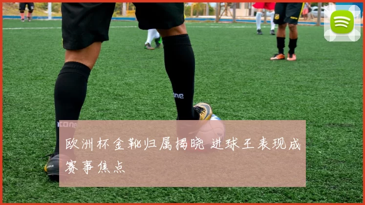 欧洲杯金靴归属揭晓 进球王表现成赛事焦点