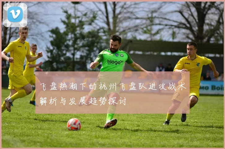 飞盘热潮下的杭州飞盘队进攻战术解析与发展趋势探讨