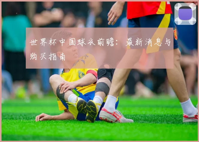 世界杯中国球衣前瞻：最新消息与购买指南