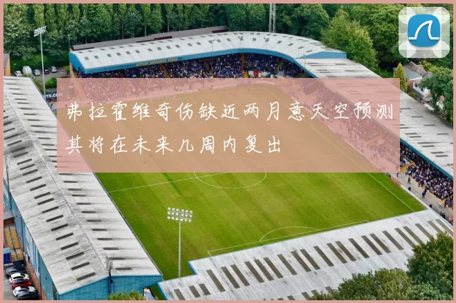 弗拉霍维奇伤缺近两月意天空预测其将在未来几周内复出