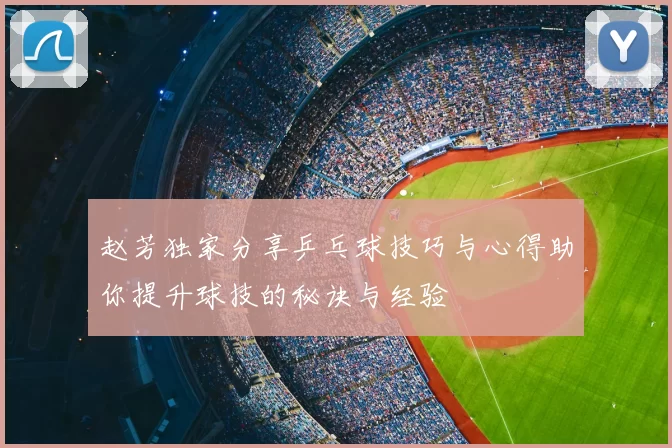 赵芳独家分享乒乓球技巧与心得助你提升球技的秘诀与经验