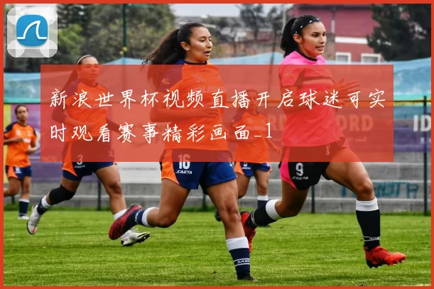 新浪世界杯视频直播开启球迷可实时观看赛事精彩画面_1